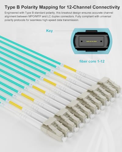 Image of MPO Fanout Fiber Patch Cable 1m /3ft,OM4 MPO to 12 X LC(6 Duplex)