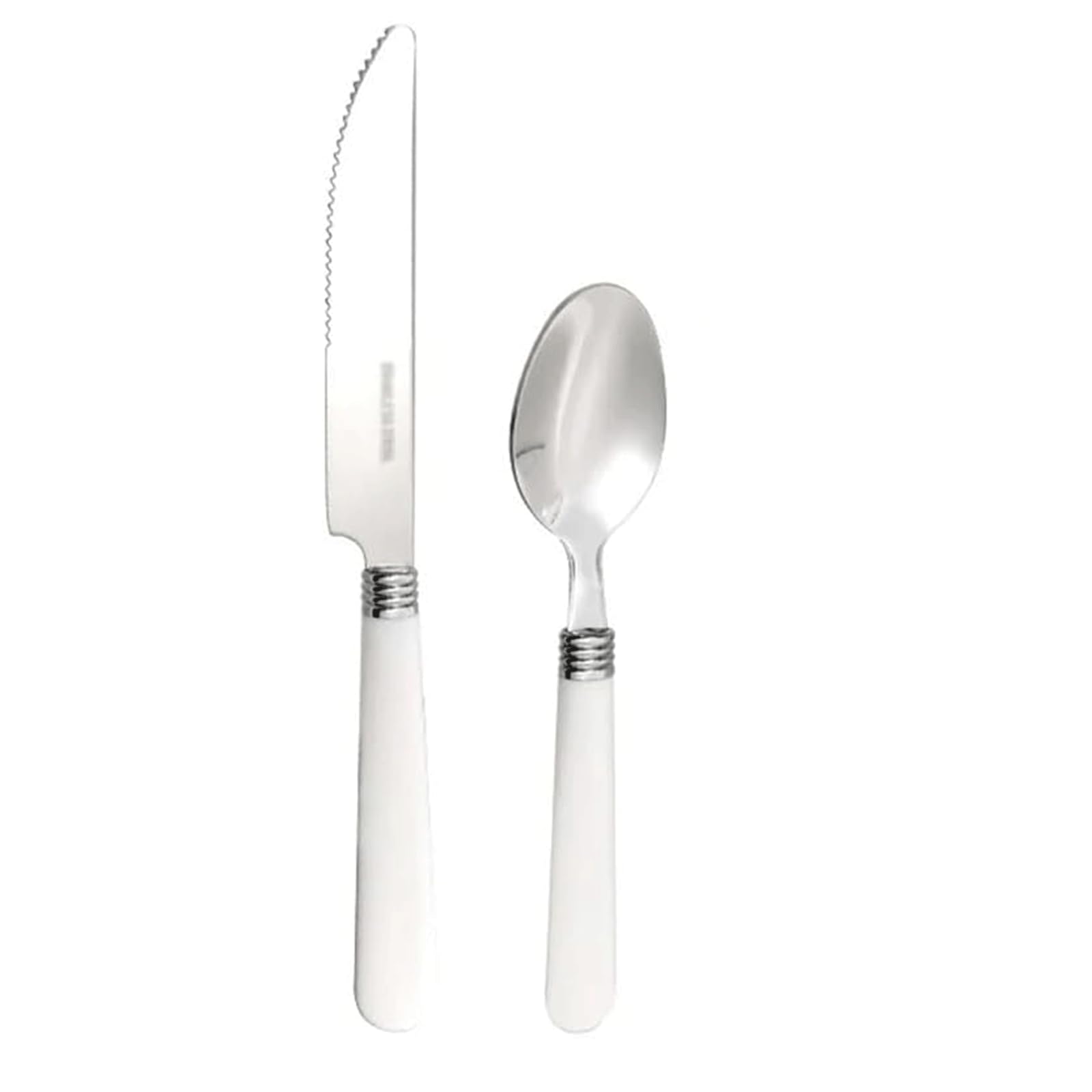 Rieort Ensemble de Couverts 2/4 pièces, Couteau, Fourchette, cuillère, fourchettes à dîner en Acier Inoxydable, Manche en Plastique, Service de Table, Ensemble d'argenterie réutilisable