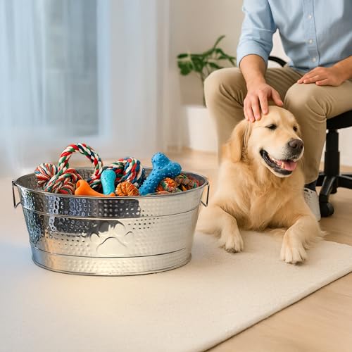 BREKX Stainless Steel Indestructible Dog Toy Bin - Pet Storage Bin with Handles, Large Organizer Storage Basket for Pet Toys, Blankets, Leashes - Pawprint Design Home Decor (Silver - 25 Quart)