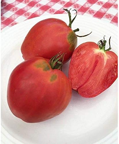 Bull's Heart Semillas de tomate (paquete de más de 30 semillas)