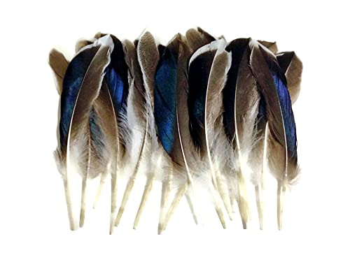 1 Pack - Iridescent Blue Mix Mallard Duck Wing Feathers 0.15 Oz. Halloween Craft Supply | Moonlight Feather #TOP13