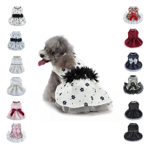 ybg ^ ^ tėp s[X  Ȃ hbOEFA  hX XJ[g Pl m  y L̕   ʋC GǍD U o|  j LOp[eB[ LOBe (A,XL)