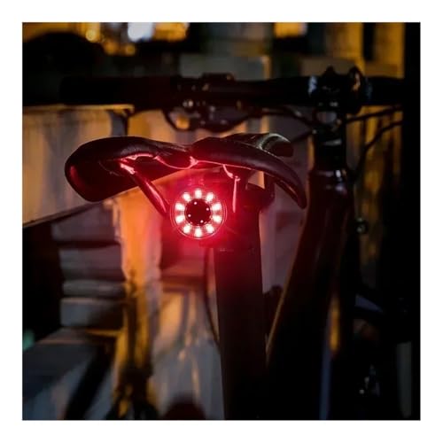 Feu arrière de vélo coloré pour éviter les dangers de la route