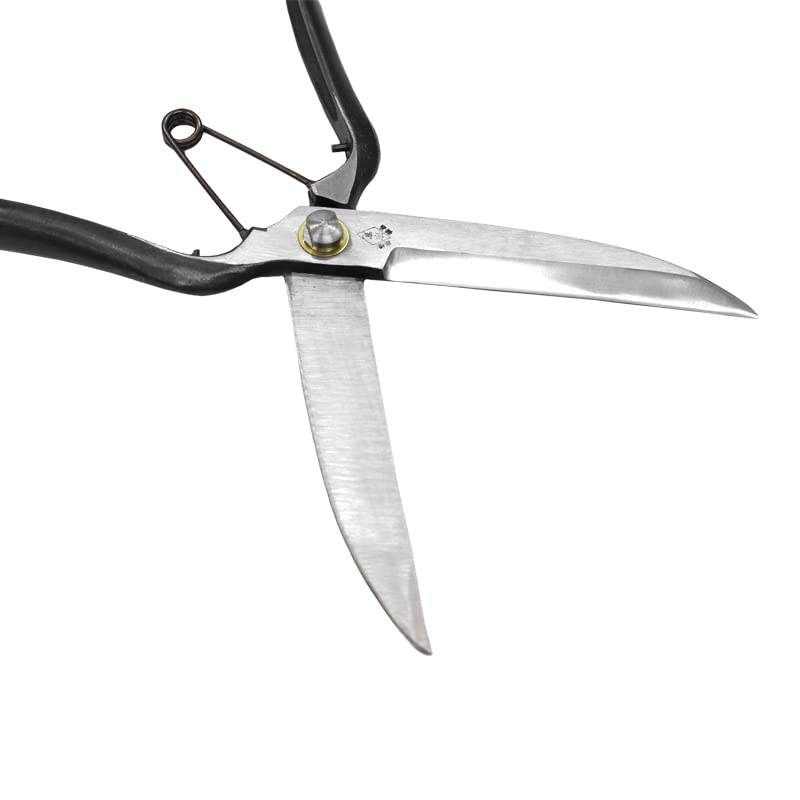 Amazon | 阿武隈川宗寛 片手刈込鋏 長刃 金止 270mm 箱入 704