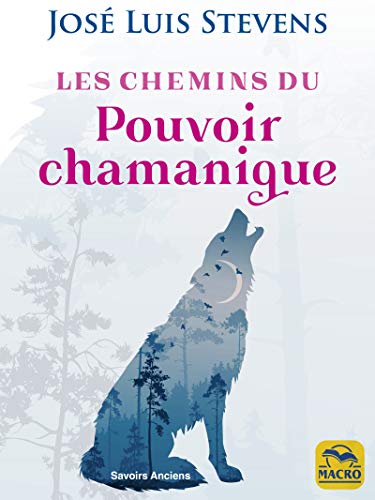 Télécharger Les Chemins du Pouvoir Chamanique: Les secrets du chamanisme (Savoirs Anciens) Gratuit