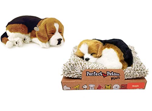 perfect petzzz beagle