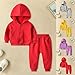 Toddler Girls Boys 2pc Tracksuit Athletic Sweatsuits Sets Full Zip Hoodie Sweatshirt Jogger (Red, 18-24 Months)