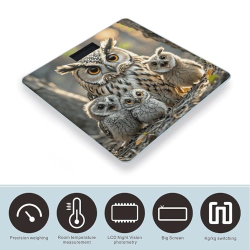 Báscula digital para baño con vidrio templado y pantalla LCD miniatura 3
