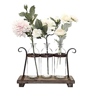 Rustic Flower Vase Set with Rack Stand Farmhouse Glass Bottles for Decor Table centerpieces
