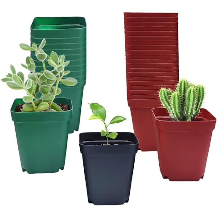 Square Plastic Nursery Pot 3 120 Pcs Deep Succulent Pots Small Flower Planter Seeds Starter Pots with Drainage (Green,Black,Red 40pcs Each,2.7Inches)