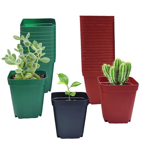RooTrimmer Square Plastic Nursery Pot 3" 120 Pcs Deep Succulent Pots Small Flower Planter Seeds Starter Pots with Drainage (Green,Black,Red 40pcs Each,2.7Inches)
