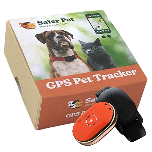 UK Best Activity Tracker Device (August 2023)