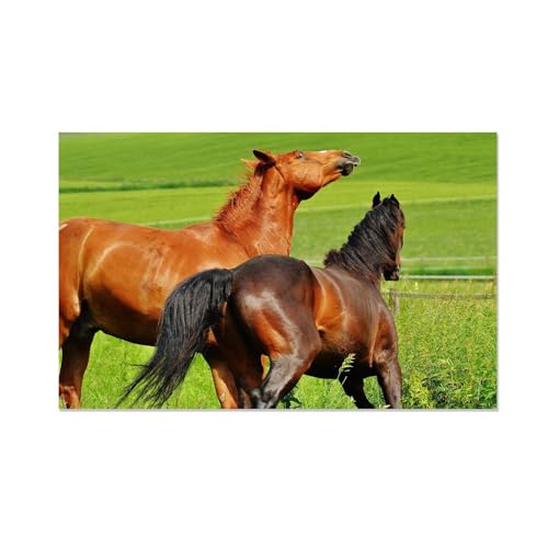 Impressions pour le salon de qualité supérieure chevaux sauvages 70x110cm