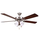 AA Warehousing HARLI-BBN-4 52'...