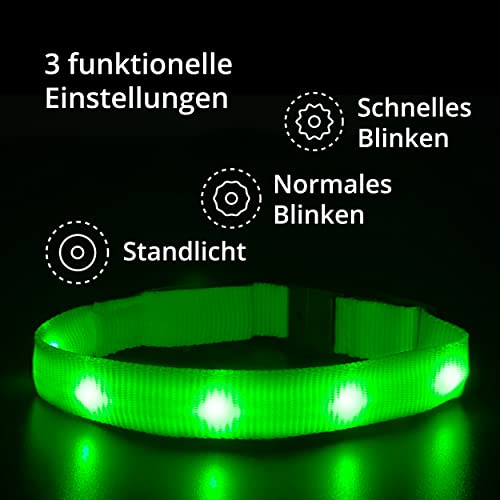 Leuchthalsband für Katzen [Das Original] Leuchtendes LED Katzenhalsband zum spazieren gehen auch im Dunkeln - sehr Lange Akkulaufzeit – Sicher Dank starker Leuchtkraft - Katzenhalsband (S, Grün)
