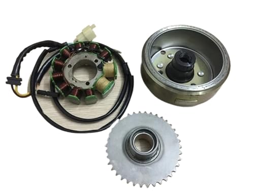 Bobine stator allumage 253FMM magneto pour moteur moto CBT250 CA250 DD250