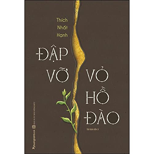 Ð?p V? V? H? Ðào [Vietnamese] 6043281066 Book Cover