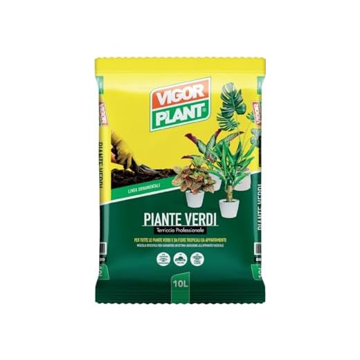 VIGORPLANT Terriccio Piante Verdi 10 Litri