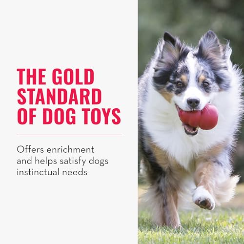 Image of KONG Classic Stuffable Dog Toy, Natural Rubber, for Medium Dogs (Pack of 2) | Treat-Filling Fetch & Chew Toy with Erratic Bounce, Made from KONG Durable Natural Rubber for Extended Playtime