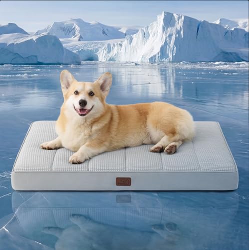 Bedsure Cooling Dog Bed for Crate - Large Comfy Flat Puppy Beds with Removable Washable Cover, Orthopedic Egg Crate Foam Pet Mat, Suitable for Pet Up to 50 lbs