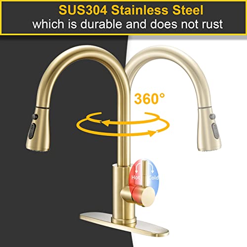 Flotech Commercial Faucets For Kitchen Sinks High Arc Single Handle Gold Pull Down Kitchen Sink Faucet With Pull Out Sprayer,Fit For 1 Or 3 Hole With Deck Plate, Rv Stainless Steel Sink Faucet #TOP3