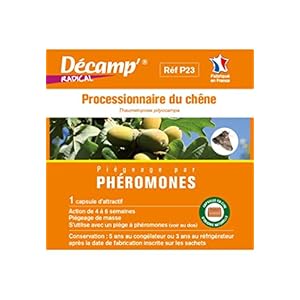 Décamp Pheromon tegen de rups van het processessionaire eiken