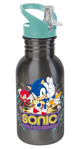 Botella deportiva Sonic Retro 500 ml acero inoxidable
