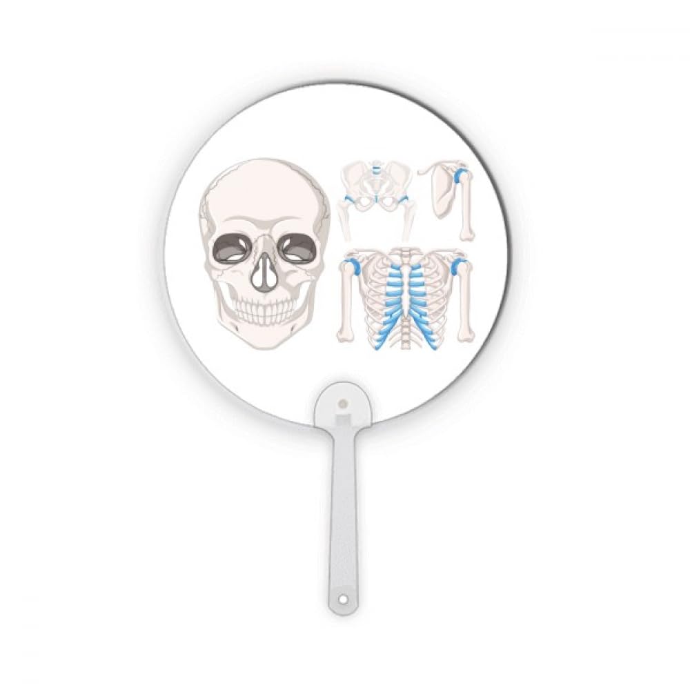 Squelette humain en côtes plastiques pour votre décoration de table d'Halloween