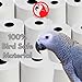 Bonka Bird Toys 3135 Pk2 Large Shredmaster Refill for Birds, 3