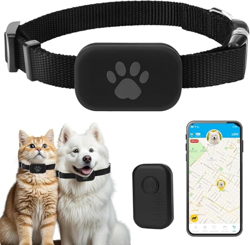 GPS für Katzen