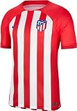 Nike 2023-2024 Atletico Madrid Home Football Soccer T-Shirt Jersey Red