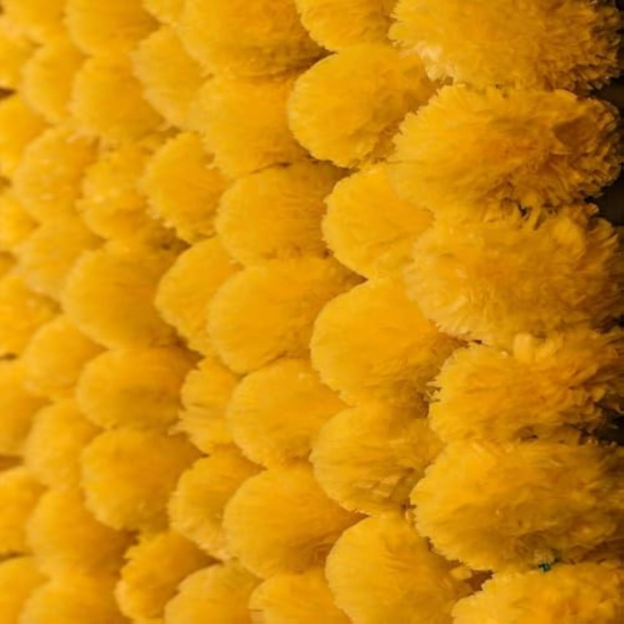 Pack of 5 Artificial Gainda Flowers Strings for Decoration
