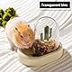 Automatischer Futterspender Hamster, Automatischer Futterautomat, Automatic Feeder Hamster, Hamster Zubehör, Hamster Napf, Hamster Futternapf für Hamster, Vögel, Tauben, Papageien, Mini-Igel (Gelb)