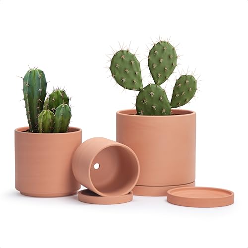 D'vine Dev Macetas de terracota para plantas, 5.3 pulgadas, 6.5 pulgadas, 7.8 pulgadas, maceta cilíndrica redonda con drenaje y platillo, 40-T-B-0