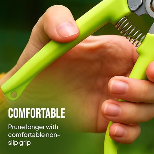 2-Pack Stainless Steel Gardening Scissors