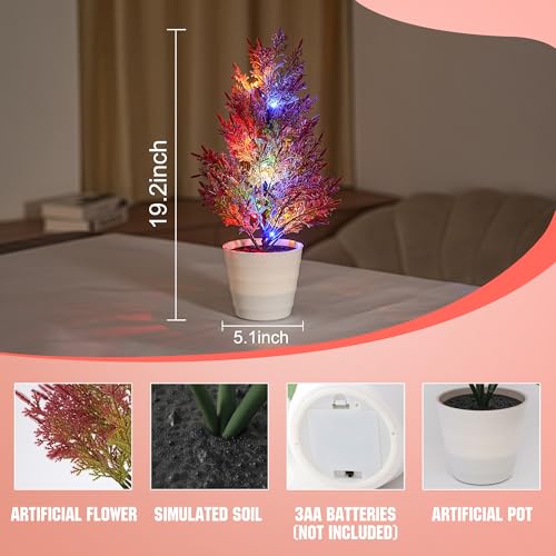 Image of Artificial Cedar Tree Lamp, Color Changing LED Light with White Pot, Battery Powered for Bedroom Wedding Christmas, Gifts for Women Mom Grandma Girlfriend on Birthday Christmas Valentines Mothers Day
