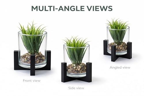Image of CURATED CART Artificial Plant with Glass Pot for Home Decor, Mini Small Decor Item, Fake Succulent Plant for Office Desk Home Decoration, Pebbles & Wooden Stand Included, 12cm Indoor Decor