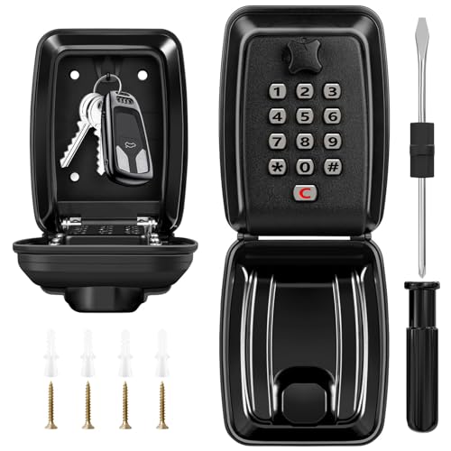 LUROON Cassetta Sicurezza Chiavi con Codice Reset 12 Cifre