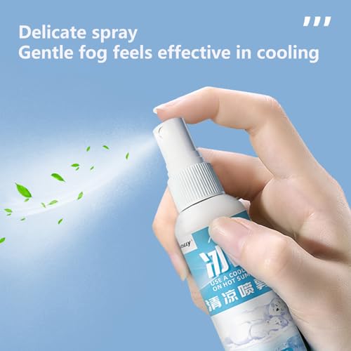 Kältespray Eisspray, Leichtes Kühlspray, Ganzkörper-Kühlnebel, Cool Spray, 100ml Hydrating Cooling Mist Cool Down, Sofortiges kühles Spray für Sommer, für heißes Wetter und Outdoor-Sportreisen