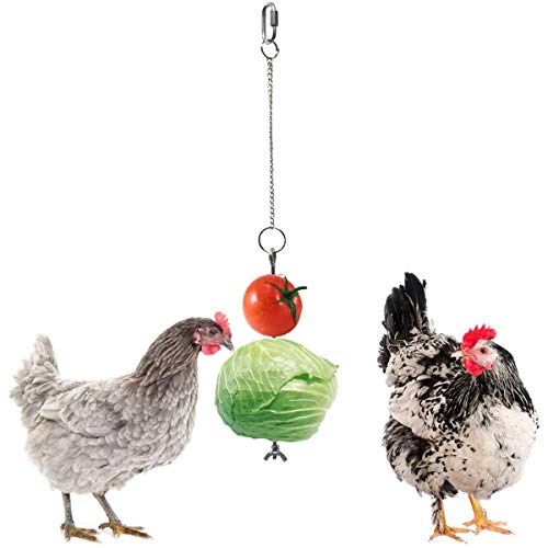 2 Stks Kip Groenten Spies Fruit Houder Voor Kippen Vogel Rvs Voedsel Houder Fruit Groente Stok Houder Vogels Opknoping… - Afbeelding 5