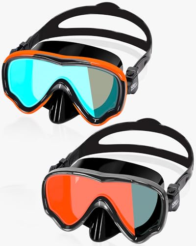 Adult Swimming Goggles Nose Cover 2 Pack Women Men Youth Anti-Fog Swim Mask