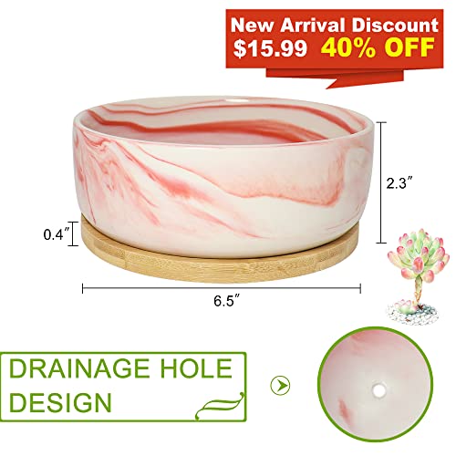 DeeCoo Succulent Pots, 2 Packs Ceramic Flower Succulent Planters Pot with Bamboo Tray, Marble Pattern Round Succulent Planter Pot for Indoor/Outdoor Plants