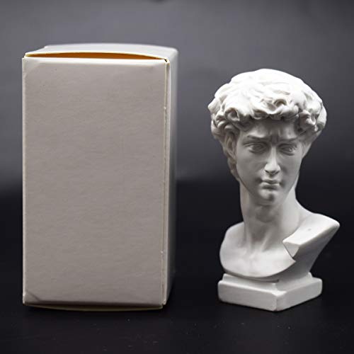 CYRAN David Statue Resin Sculptures Statues, Office Bookshelf Decor, 7CM Portrait Sculpture Resin Handcraft Home Decor Gift for Friends