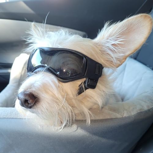 Enjoying Dog Sunglasses Small Breed, Dog Goggles UV Protection, Cycling Eye Protection for Small Dogs, Outdoors Breathable Windproof Dustproof Anti-Fog, Adjustable Straps, Cool Black by Enjoying - Used condition - Image 7