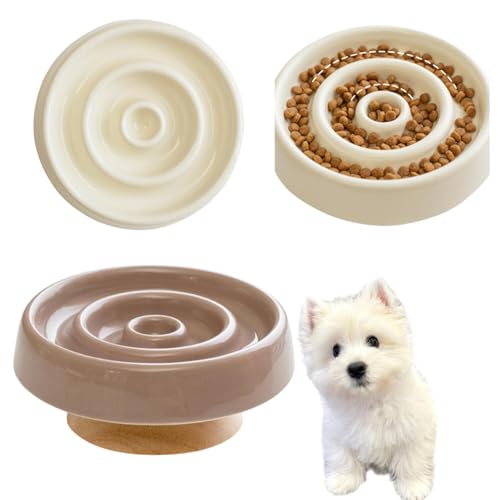 Lifetips EGXgnChzCgeA Lp X[t[h{E ؐ Hh~ ~ HZbg ^ L  􂢂₷ iؐx-X^CvJuEj