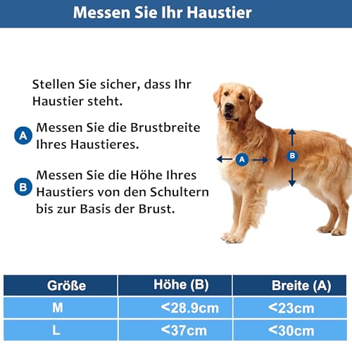CEESC Wetterfeste Hundetür und Katzentür für Haustiere bis 20,4 kg, langlebig, Schnappverschluss inklusive