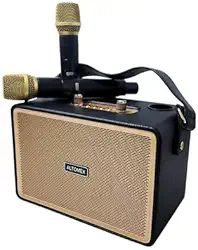 Caixa De Som Karaokê Bluetooth Portátil 100W Com 2 Microfones Sem Fio Bivolt