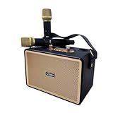 Caixa de som karaokê bluetooth portátil 100w com 2 microfones sem f