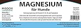 MIGOCKI Magnesium – 250 g – Premium Ergänzungsfuttermittel für Hunde – Unterstützung des gesunden Nervensystems für mehr Gelassenheit – Fördert einen lockeren Muskeltonus, gesunde Knochen und Zähne