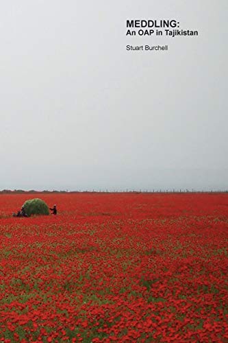 Meddling: An OAP in Tajikistan